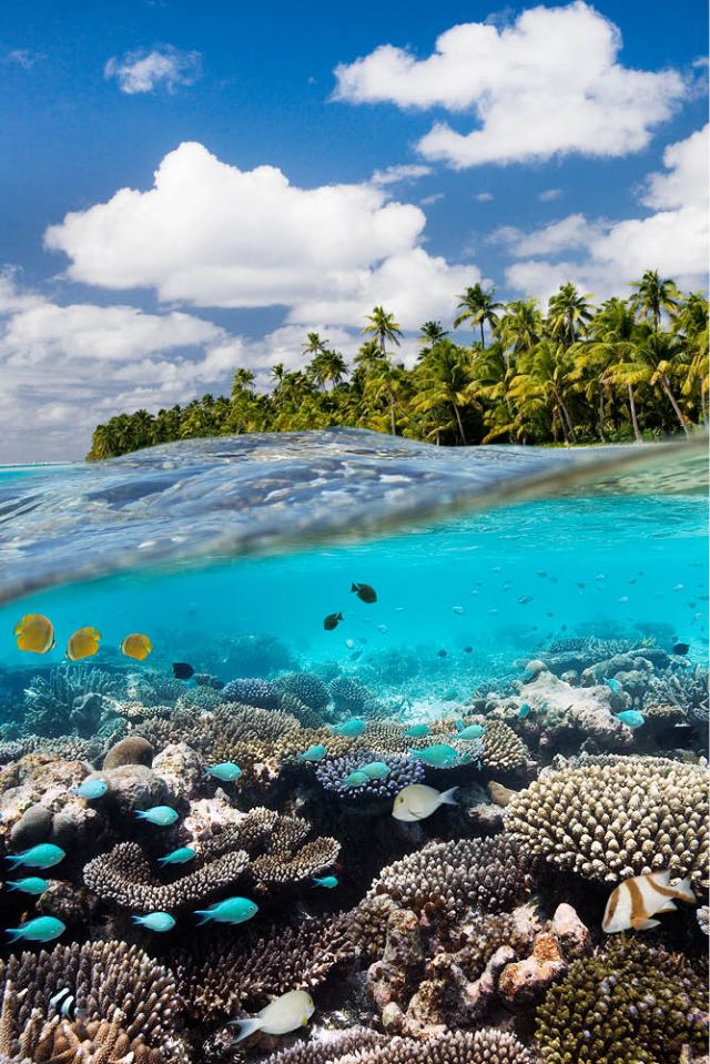 tropical paradises islands luxury getaways relax beach water