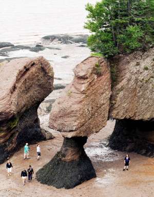 Hopewell Rocks