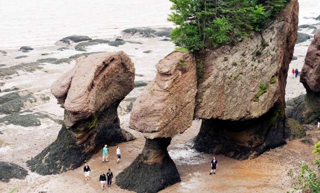 Hopewell Rocks