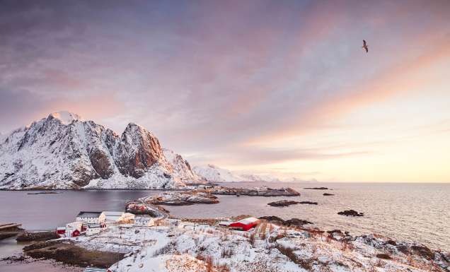 adventure northern lights beautiful sky romantic nature