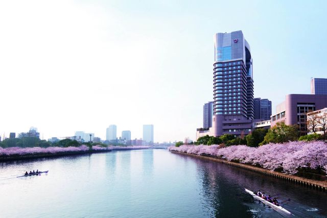 hotel review japan stunning cherry blossom stays luxury