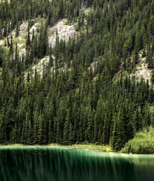 48 long, hot summer hours in Whitehorse