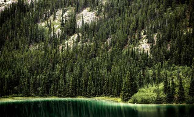 Emerald Lake aqua Yukon