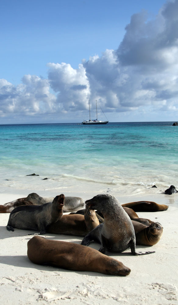 Galapagos island fauna flora sights travel adventure