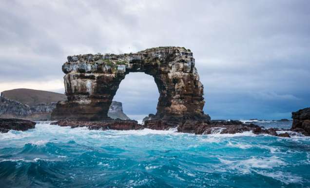 Galapagos island fauna flora sights travel adventure