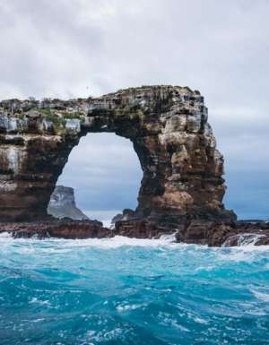 Galapagos island fauna flora sights travel adventure