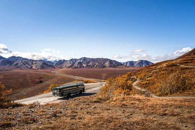 tours Denali national park Alaska RV