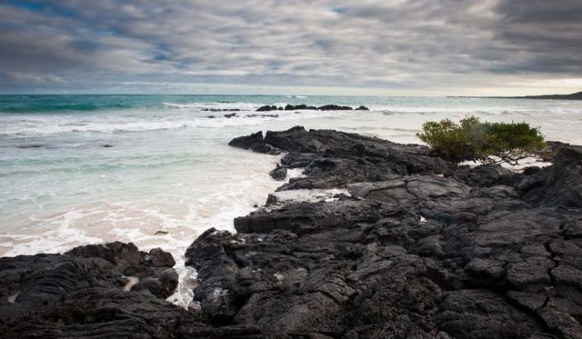 Galapagos island fauna flora sights travel adventure
