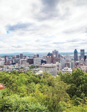 Experience majestic views atop Montréal’s pretty Mont Royal
