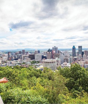 Experience majestic views atop Montréal’s pretty Mont Royal