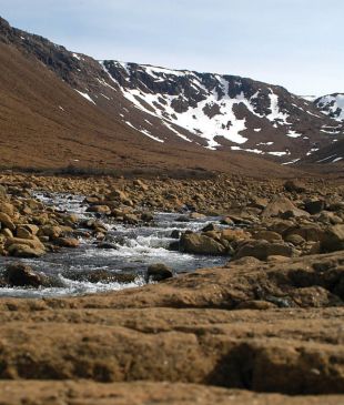 Tread the earth’s exposed mantle at Gros Morne