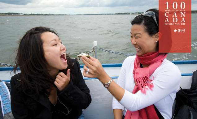 Go overboard for oysters on Canada’s Prince Edward Island