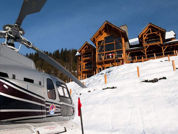 Bighorn in Revelstoke, British Columbia