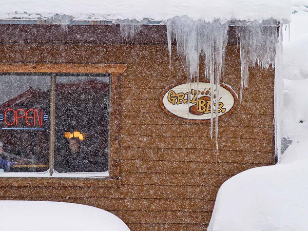 Griz Bar Fernie British Columbia