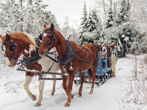 Sleighrides