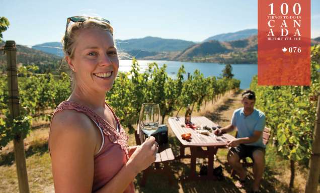 Wander among the vines of the Okanagan Valley