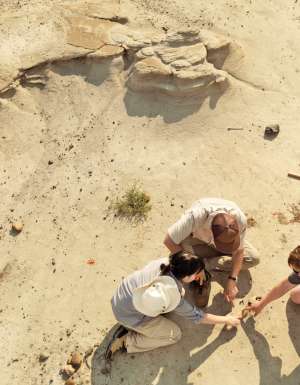 Walk with the dinosaurs in Canada’s striking Badlands