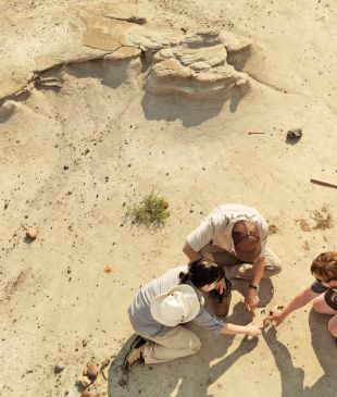 Walk with the dinosaurs in Canada’s striking Badlands