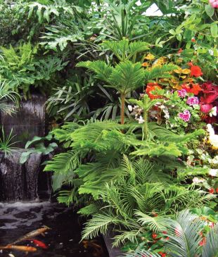 Tiptoe through the tulips at Canada’s Butchart Gardens
