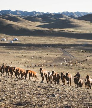 Reasons to see Mongolia now before it changes forever