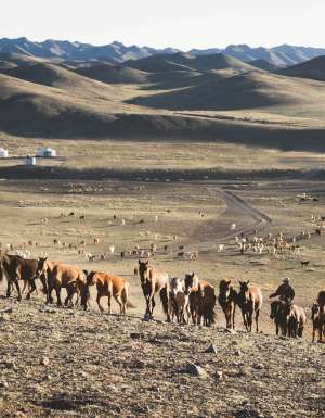 why visit mongolia horses desert culture yurt