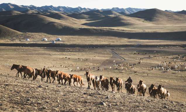 why visit mongolia horses desert culture yurt