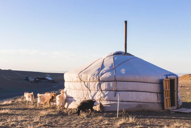 why visit mongolia horses desert culture yurt