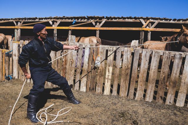 monoglia herders free land desert culture