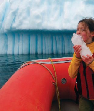 Dodge the frozen giants of Canada’s Iceberg Alley