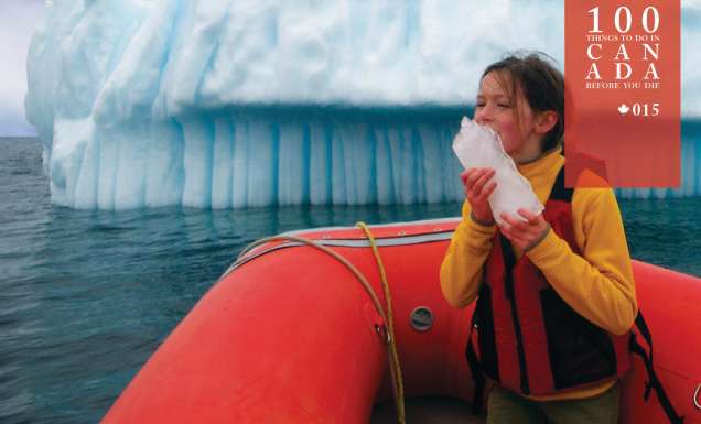 Dodge the frozen giants of Canada’s Iceberg Alley