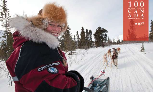 Experience the thrill of a dog sled ride across Yukon’s frozen lakes