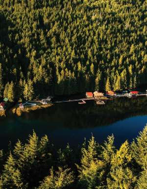 Lodge in style at the Great Bear Rainforest’s Nimmo Bay Resort