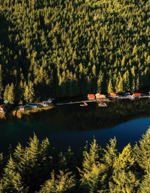 Lodge in style at the Great Bear Rainforest’s Nimmo Bay Resort