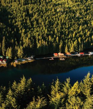 Lodge in style at the Great Bear Rainforest’s Nimmo Bay Resort