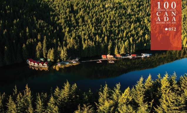 Lodge in style at the Great Bear Rainforest’s Nimmo Bay Resort