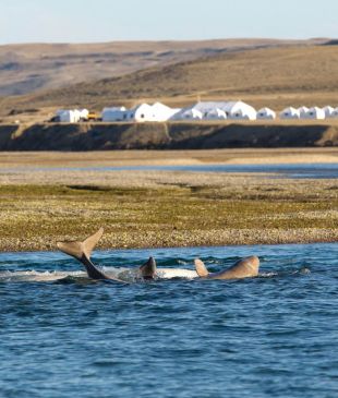 Join the Arctic Watch on Nunavut’s untamed tundra