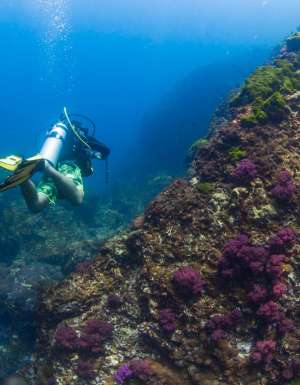 southern Thailand scuba diving snorkelling dive snorkel