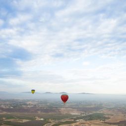 The (best-kept-secret) Californian wine region road trip