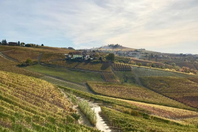Giuseppe Cortese's winery Piemonte by van Italy