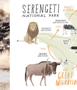 Serengeti National Park: seven must-sees and do’s