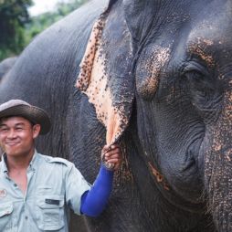 riding asian elephants hills Thailand ethics Khao Sok