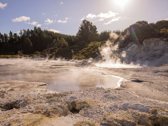 mud bath at Hell’s Gate, Rotorua