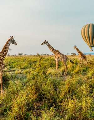 100 tips, tricks and hacks from travel insiders – classics