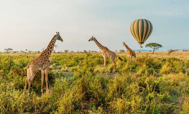 100 tips, tricks and hacks from travel insiders – classics