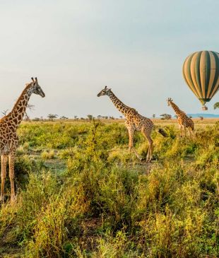100 tips, tricks and hacks from travel insiders – classics
