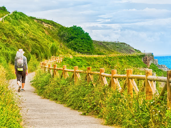 El Camino de Santiago hike