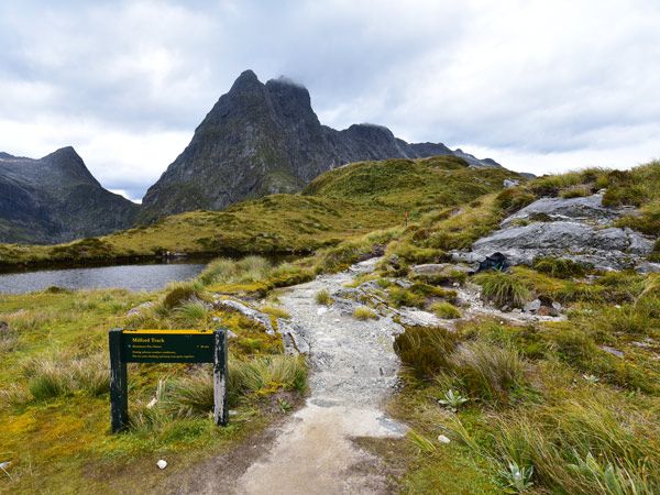 The beginning of The Milford Track