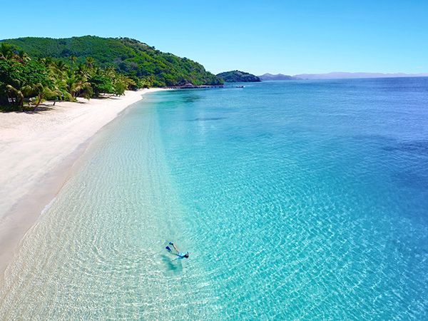 Snorkel in the stunning surrounds of Kokomo Private Island. 