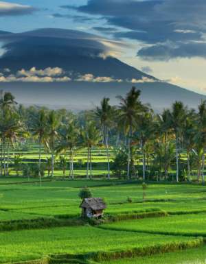 How to spend 48 hours in Canggu, Bali