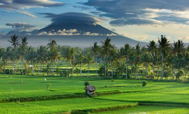 How to spend 48 hours in Canggu, Bali